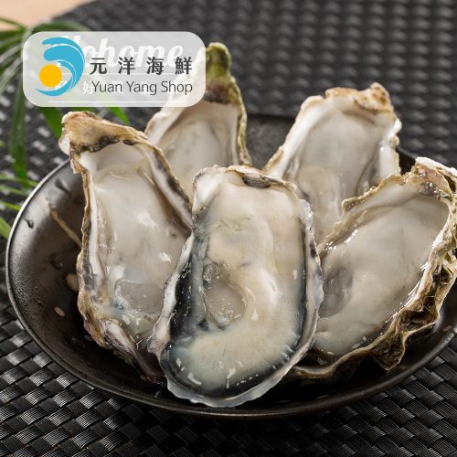 日本兵庫生食生蠔(1Kg約9-11顆)
